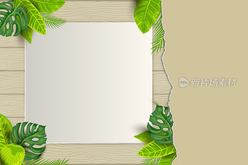 Tropical background with exotic leaves and paper sheet.